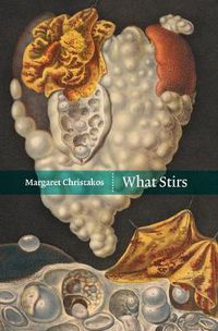 Cover image for What Stirs