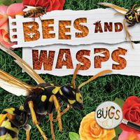 Cover image for Bees and Wasps