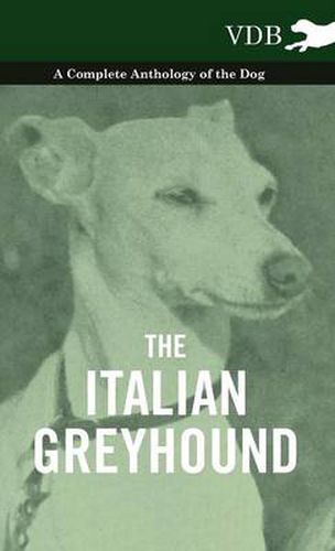 Cover image for The Italian Greyhound - A Complete Anthology of the Dog