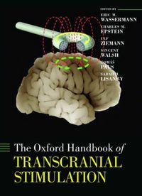 Cover image for Oxford Handbook of Transcranial Stimulation