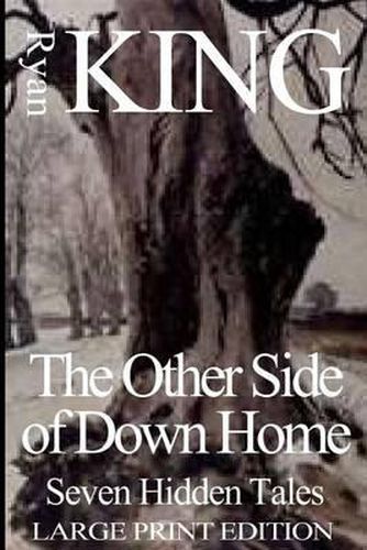 Cover image for Other Side of Down Home (Large Print Edition): Seven Hidden Tales