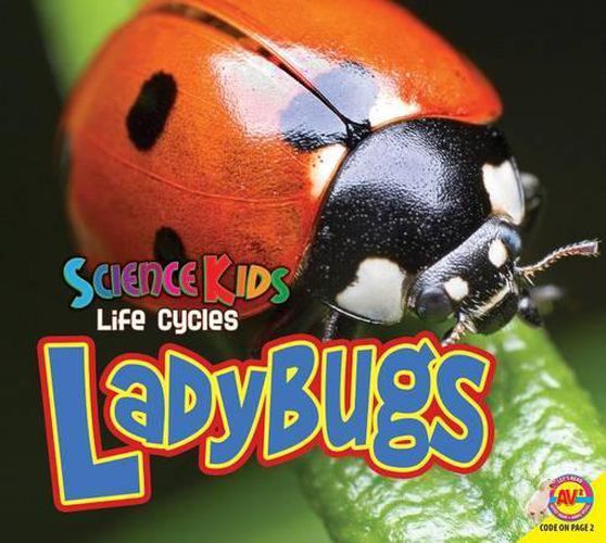 Cover image for Ladybugs