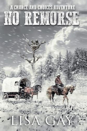 Cover image for No Remorse_Large Print