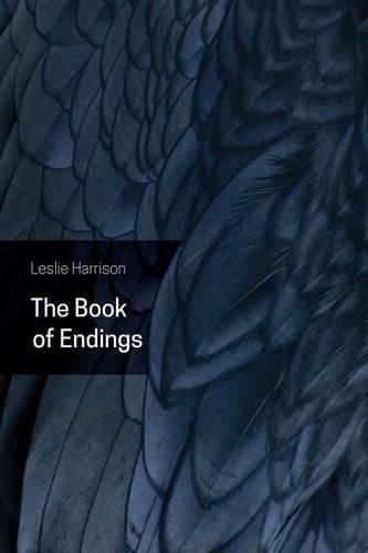 The Book of Endings