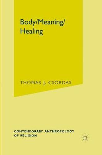 Cover image for Body, Meaning, Healing