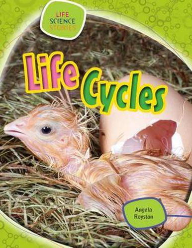 Cover image for Life Cycles