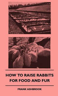 Cover image for How To Raise Rabbits For Food And Fur