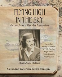 Cover image for Flying High In the Sky