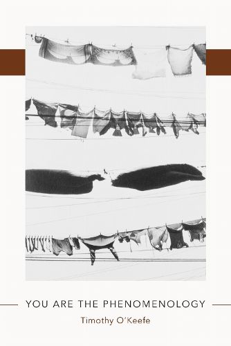 Cover image for You Are the Phenomenology