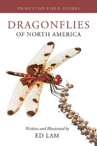 Cover image for Dragonflies of North America