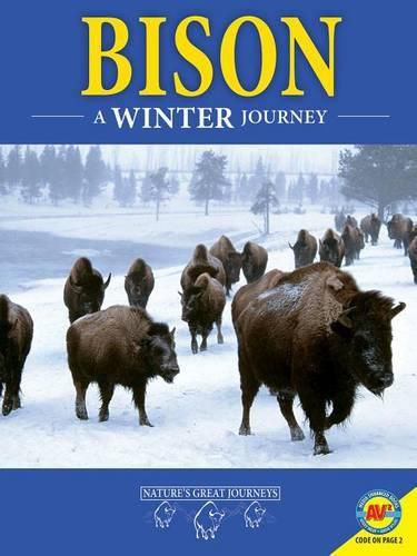 Cover image for Bison: A Winter Journey