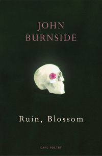 Cover image for Ruin, Blossom