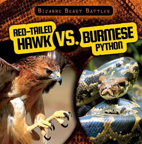 Cover image for Red-Tailed Hawk vs. Burmese Python