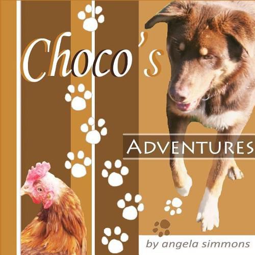 Cover image for Choco's Adventures