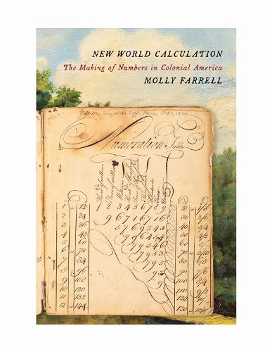 Cover image for New World Calculation
