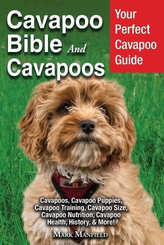 Cover image for Cavapoo Bible And Cavapoos: Your Perfect Cavapoo Guide Cavapoos, Cavapoo Puppies, Cavapoo Training, Cavapoo Size, Cavapoo Nutrition, Cavapoo Health, History, & More!