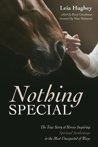 Cover image for Nothing Special: The True Story of Horses Inspiring Spiritual Awakenings in the Most Unexpected of Ways