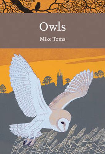 Cover image for Owls