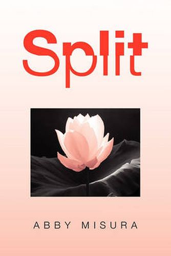 Cover image for Split