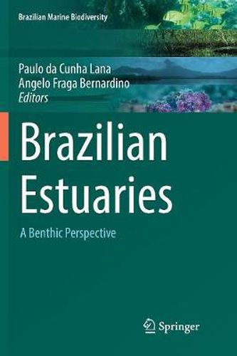 Cover image for Brazilian Estuaries: A Benthic Perspective