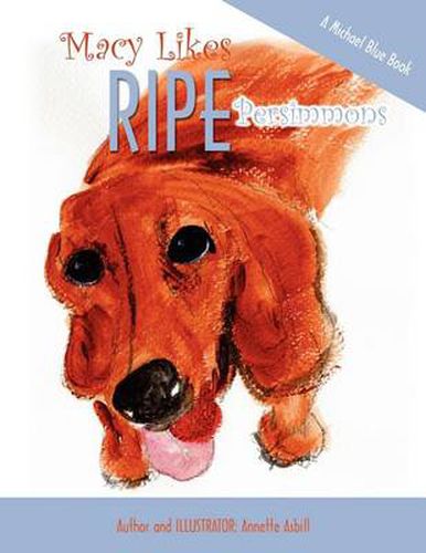 Cover image for Macy Likes RIPE Persimmons