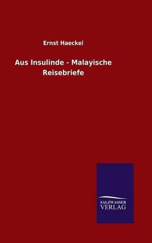 Cover image for Aus Insulinde - Malayische Reisebriefe