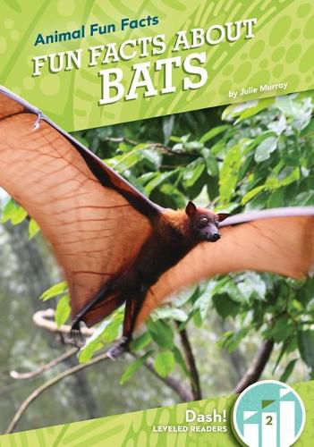 Cover image for Fun Facts about Bats