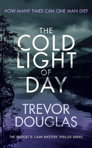 Cover image for The Cold Light of Day