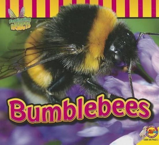 Cover image for Bumblebees