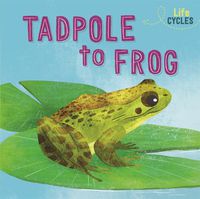 Cover image for Life Cycles: From Tadpole to Frog