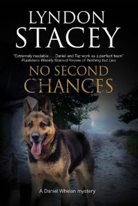Cover image for No Second Chances