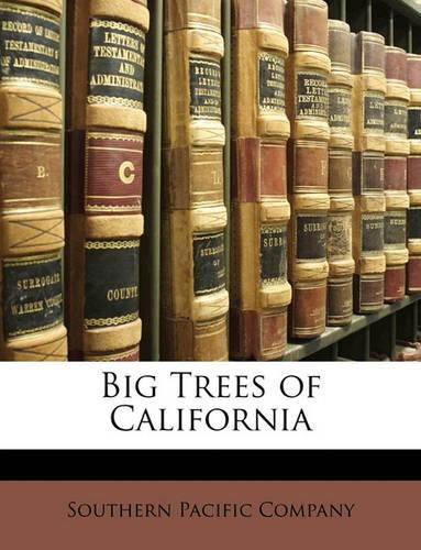 Cover image for Big Trees of California