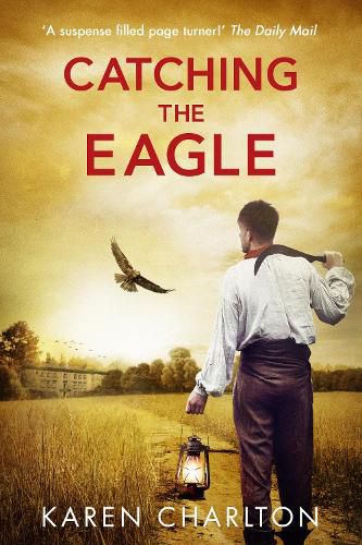 Cover image for Catching the Eagle