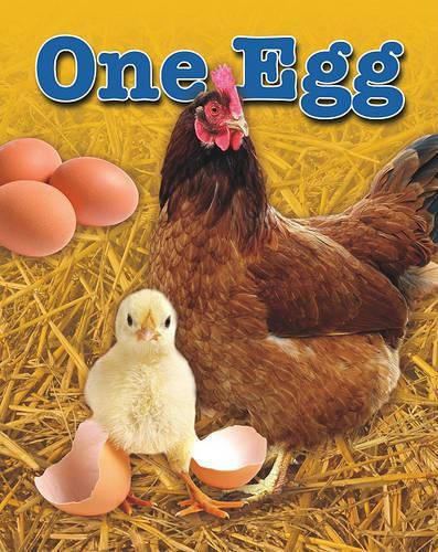 One Egg