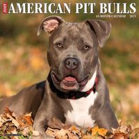 Cover image for Just American Pit Bull Terriers 2025 12 X 12 Wall Calendar