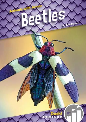 Cover image for Beetles