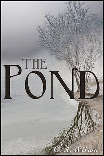 Cover image for The Pond