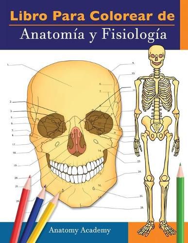 Cover image for Libro para colorear de Anatomia y Fisiologia: Libro de colores de autoevaluacion muy detallado para estudiar El regalo perfecto para estudiantes de la facultad de medicina, medicos, enfermeras y adultos