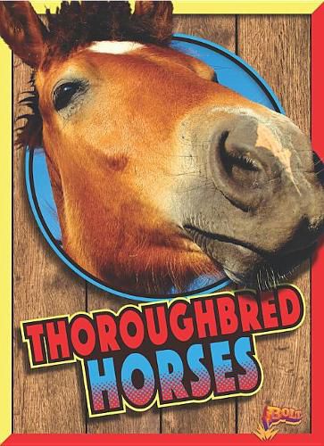 Cover image for Thoroughbred Horses