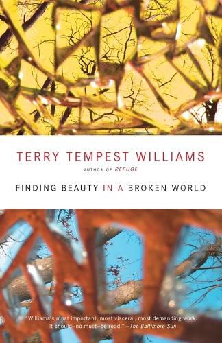 Cover image for Finding Beauty in a Broken World