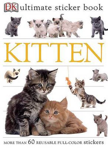 Cover image for Ultimate Sticker Book: Kitten: More Than 60 Reusable Full-Color Stickers
