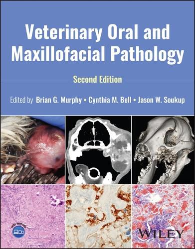 Cover image for Veterinary Oral and Maxillofacial Pathology