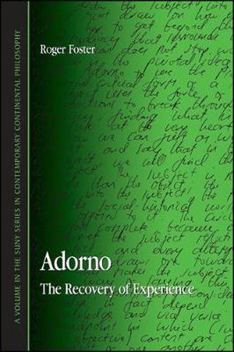 Cover image for Adorno: The Recovery of Experience