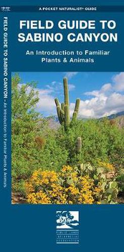 Cover image for Sabino Canyon, Field Guide to: Pocket Naturalist Guide