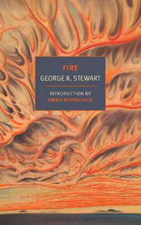 Cover image for Fire