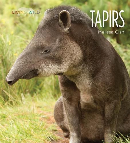 Cover image for Tapirs