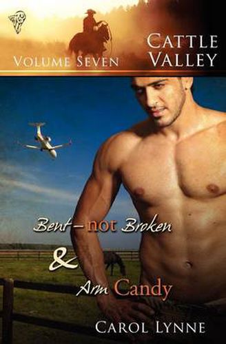 Cover image for Bent, Not Broken: AND Arm Candy