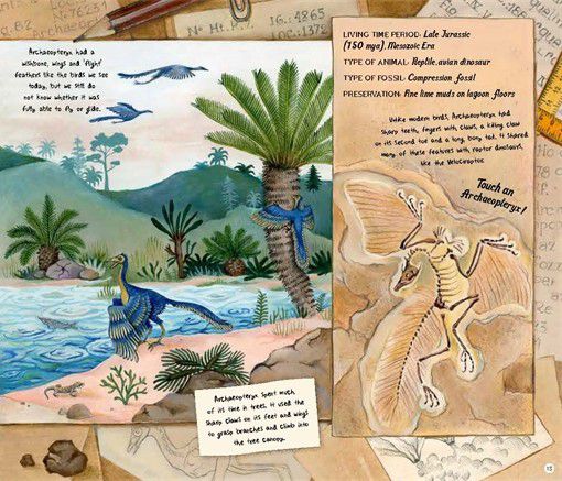 The Fossil Keeper's Treasure
