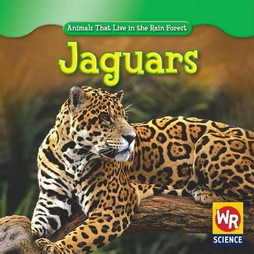 Cover image for Jaguars