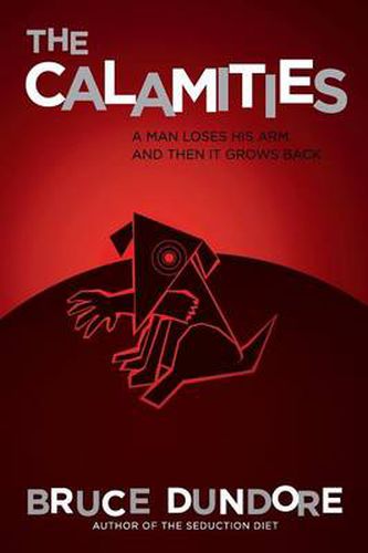 Cover image for The Calamities